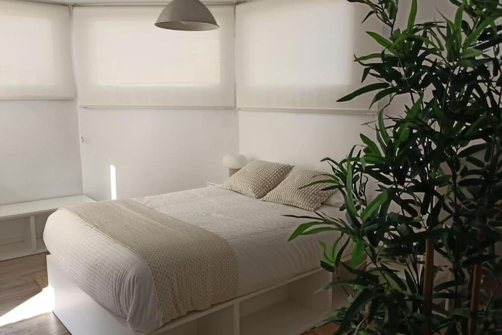 Apartamento Salitre Malaga Center Exterior foto
